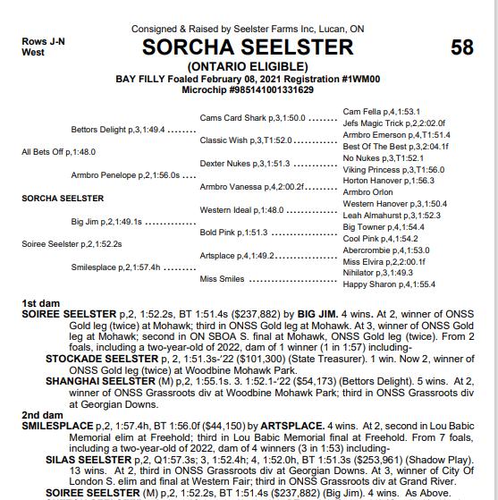 And he is still perfect! We're excited to see his ALL BETS OFF sister SORCHA SEELSTER sell as HIP 58 at our Fall sale next month... #LCYS22