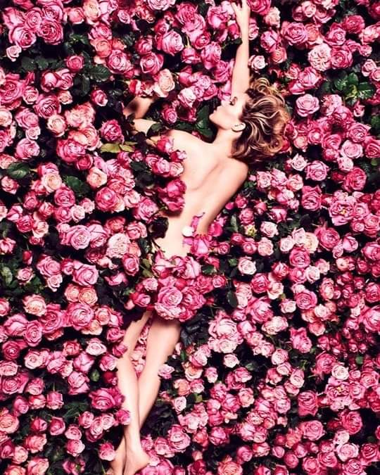 unpluggednewsmx's tweet photo. #Cine
#LeaSeydux fotografiada por #KristianSchuller en 2016 🌸🌹
#LaVidaDeAdele #Bond25 #TheFrenchDispatch #CrimesOfTheFuture https://t.co/HtwBDnu3z7