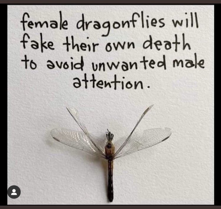 Lol 😆