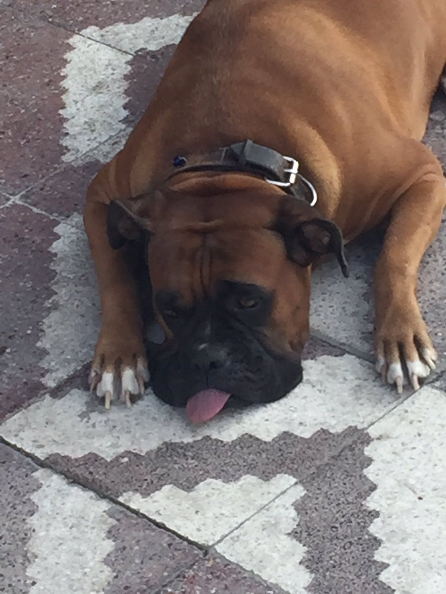 adnandeneri's tweet image. İzmir sıcak