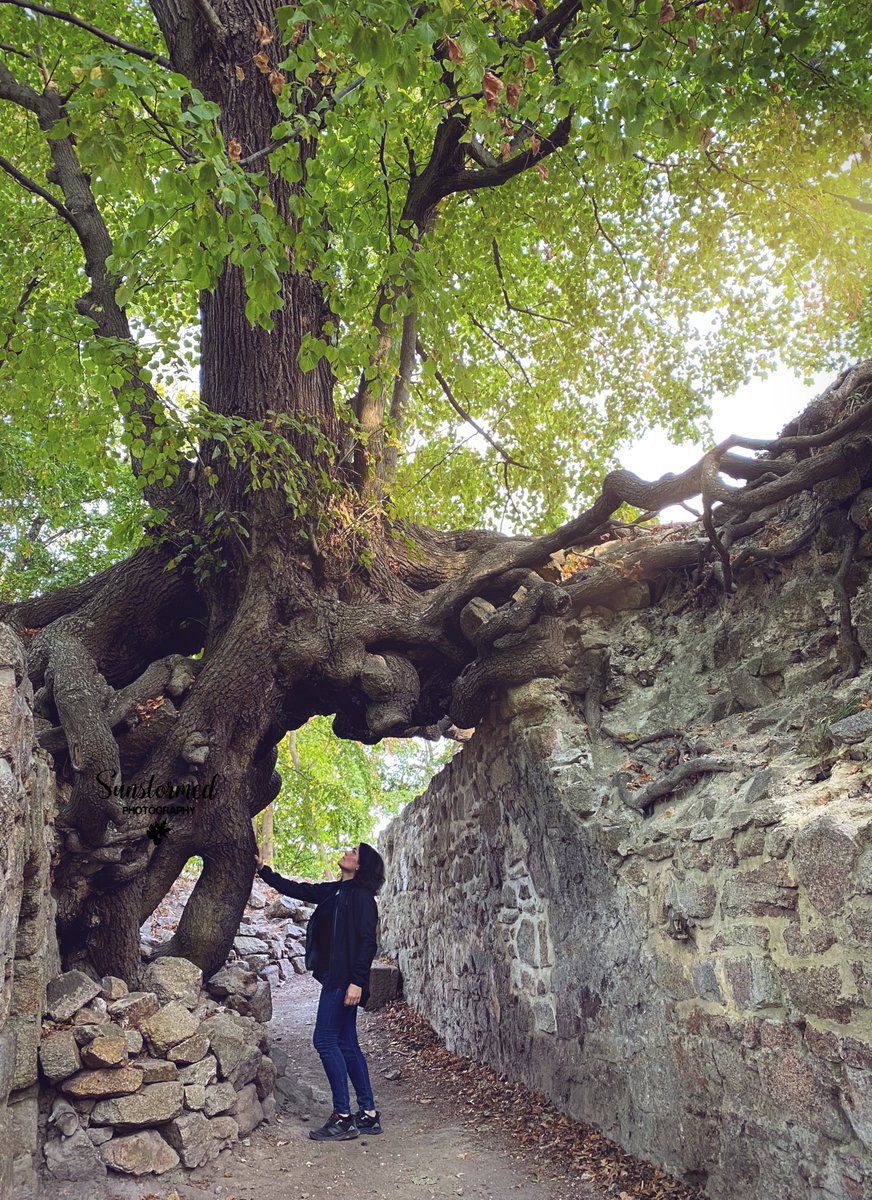 Sunstormed's tweet image. Some things don’t need to be explained. You just have to feel them deep in your heart..