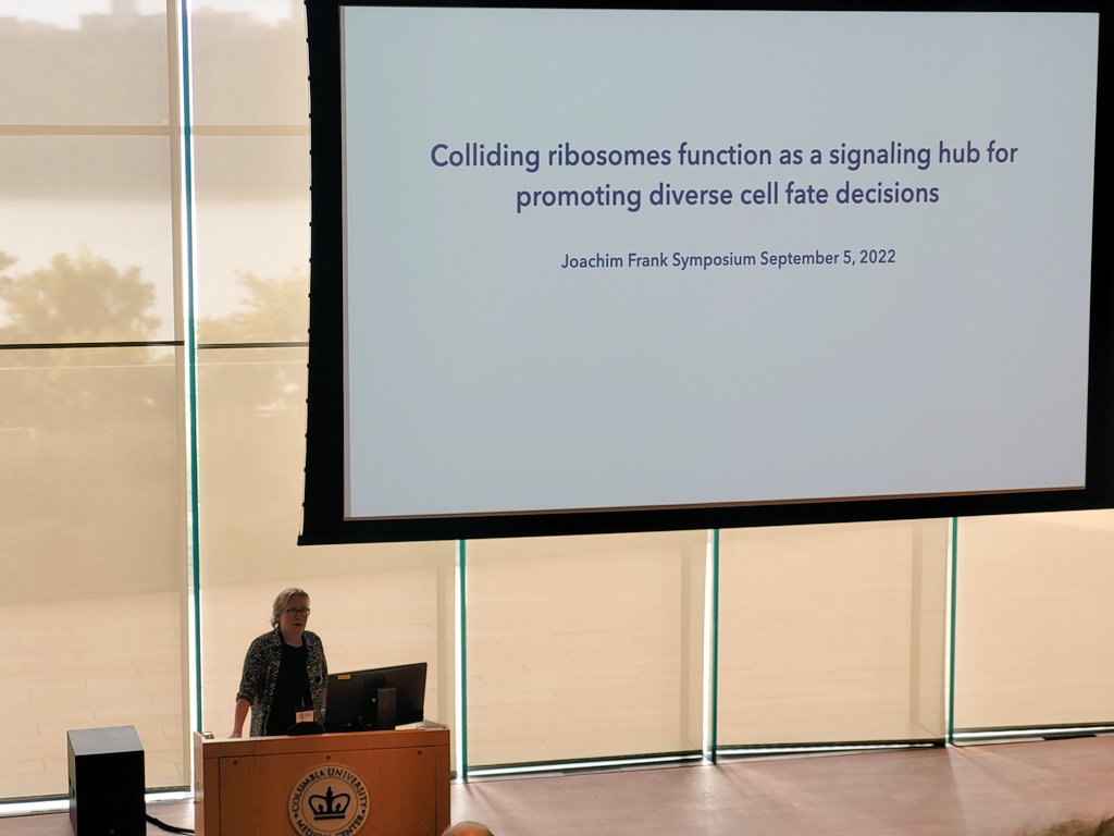 Hashemyaser4's tweet photo. And now, the ultimate talk of the ultimate session of what was a fascinating symposium #JF80, we saved the best for last, the famous Rachel Green @GreenLabJHMI who will tell us about colliding ribosomes and their function in cell fate  decisions. https://t.co/9WWNS4hmyK