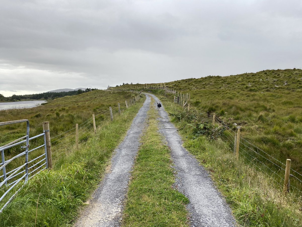eacbhaile29's tweet photo. Lá 233/4 #300DaysOfWalking #round2crew  #Conamara #Gaeilge “Brón ar an mbás, 's é dhubh mo chroíse” Ar dheis Dé go raibh a anam dhílis  #Aonghus  Iar scoláire óg uasal 💔 https://t.co/h4eb8dSfti