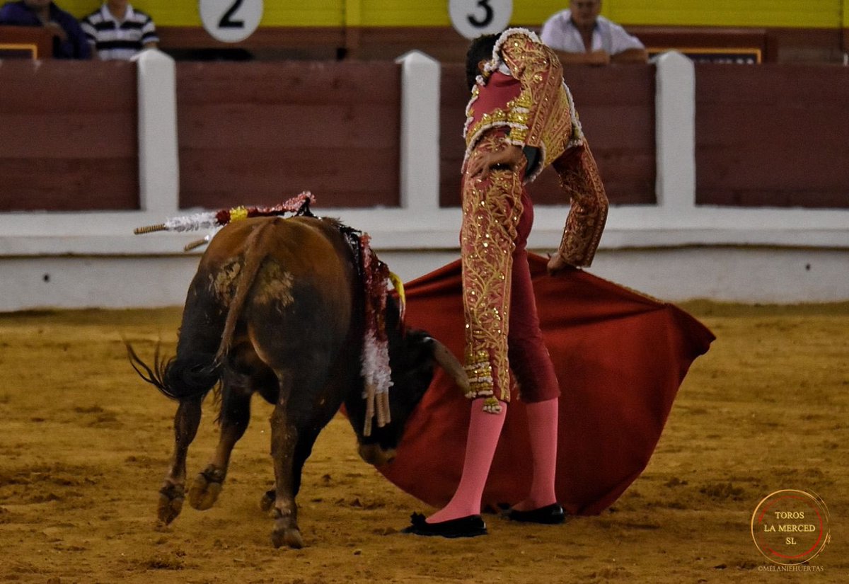 merida_toros's tweet photo. 📸 DOS OREJAS para Mariscal Ruiz en el 4️⃣ de la noche #Merida22
📆 4 de septiembre 🐂 La Glorieta #ElToreoEterno
@huertas_melanie https://t.co/6q3AuB0uvF