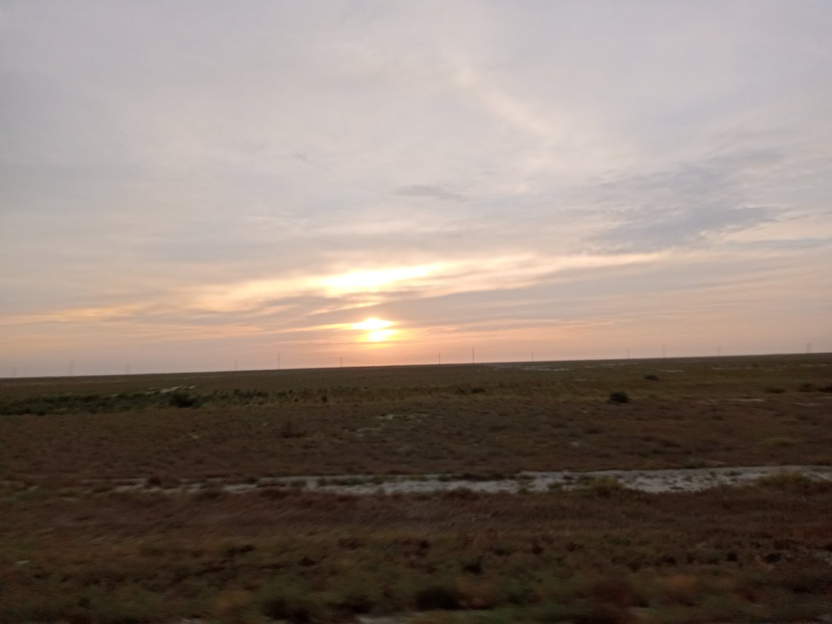 Irsha Ирина tweet media