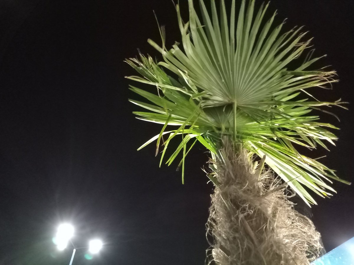 Irsha Ирина tweet media