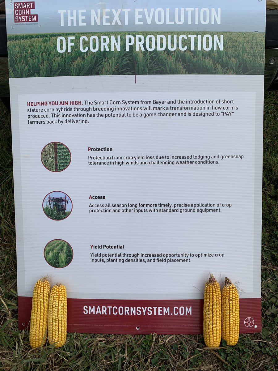 PMfreebooter's tweet image. Gotta love this time of year. The weather and the Short Stature corn products are just fantastic this afternoon. #SmartCornSystem and @BayerTraits bringing some yield punch to middle Missouri.