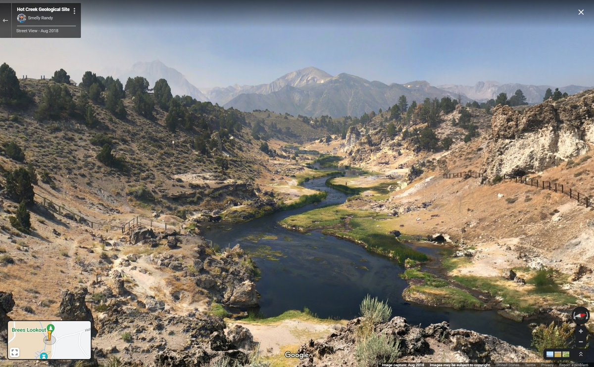 rainbolt tweet media