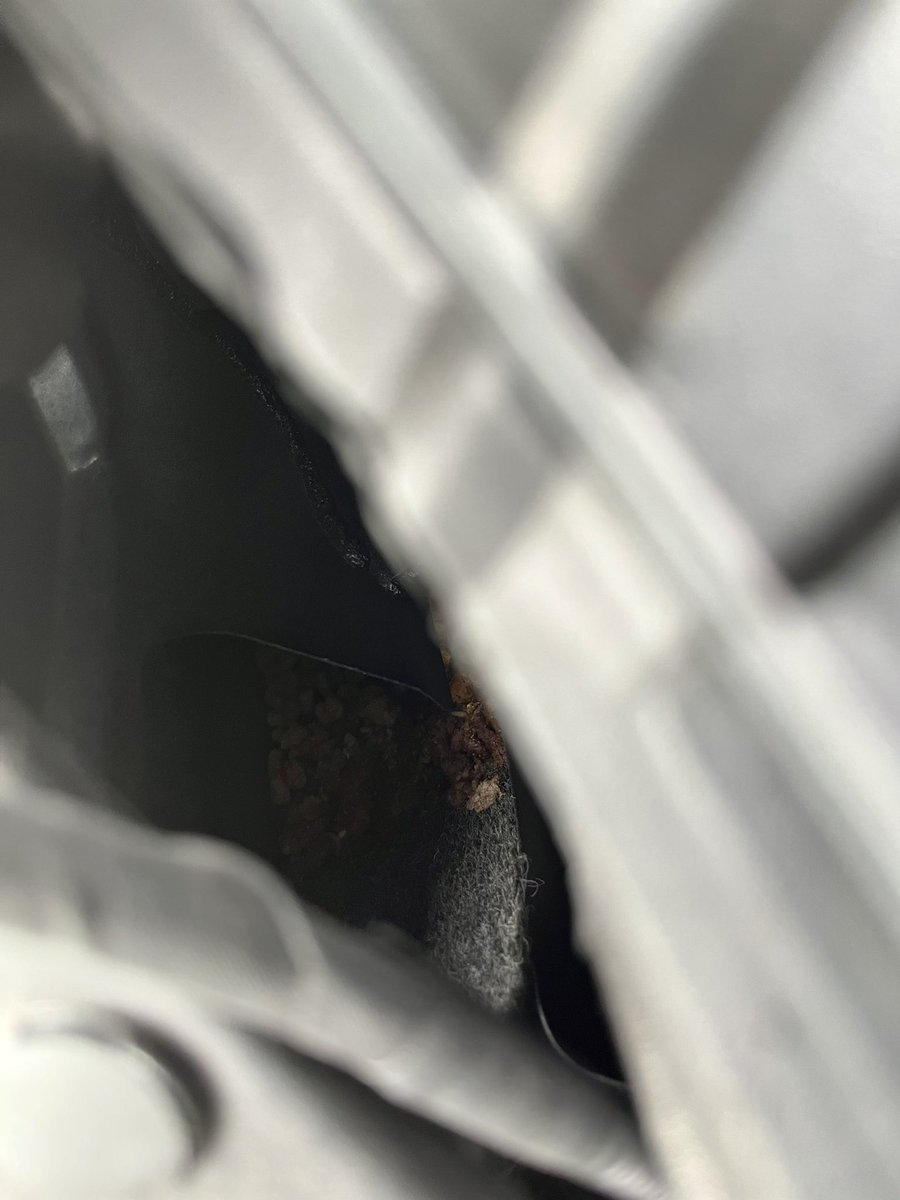 eyezenstat's tweet photo. Rodent experts, what am I dealing with here? Rat? Mouse? Squirrel? Stash of dog food on passenger side where corner of hood meets windshield. Smells like hot garbage and/or death. https://t.co/cfOeMbn1Ve