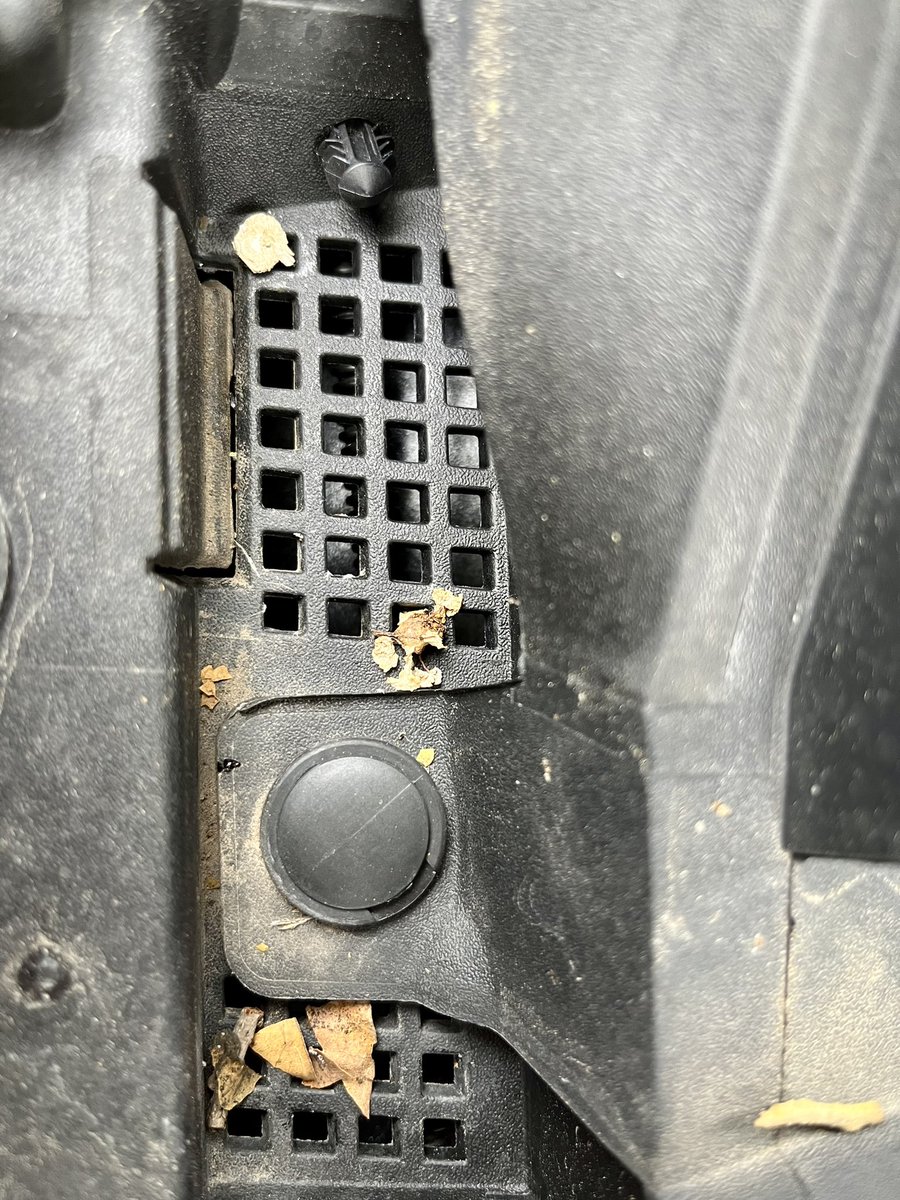eyezenstat's tweet photo. Rodent experts, what am I dealing with here? Rat? Mouse? Squirrel? Stash of dog food on passenger side where corner of hood meets windshield. Smells like hot garbage and/or death. https://t.co/cfOeMbn1Ve