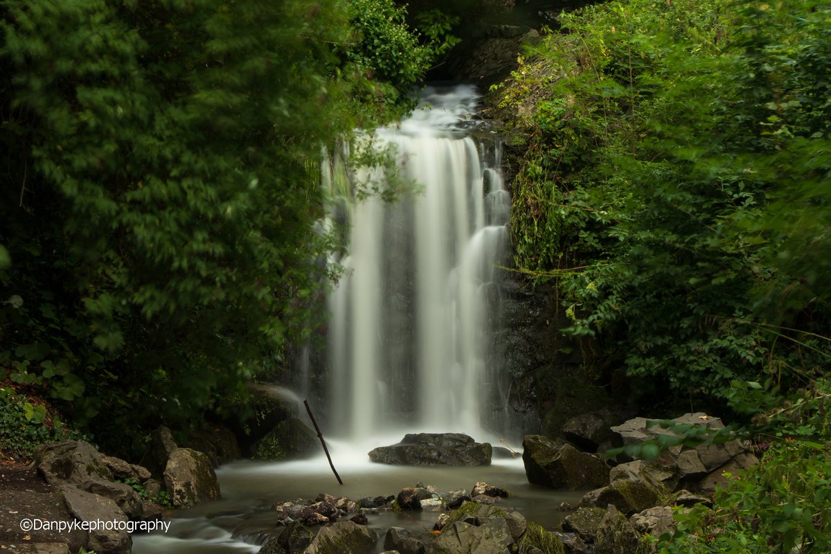 DanielPykephoto's tweet photo. Hey everyone I'm wondering if anyone could help me out with these photos. I'm happy with everything in it but just the trees are a little too blurred for me. #photography #photographyadvice #photographyhelp https://t.co/HVTKSA56Zl