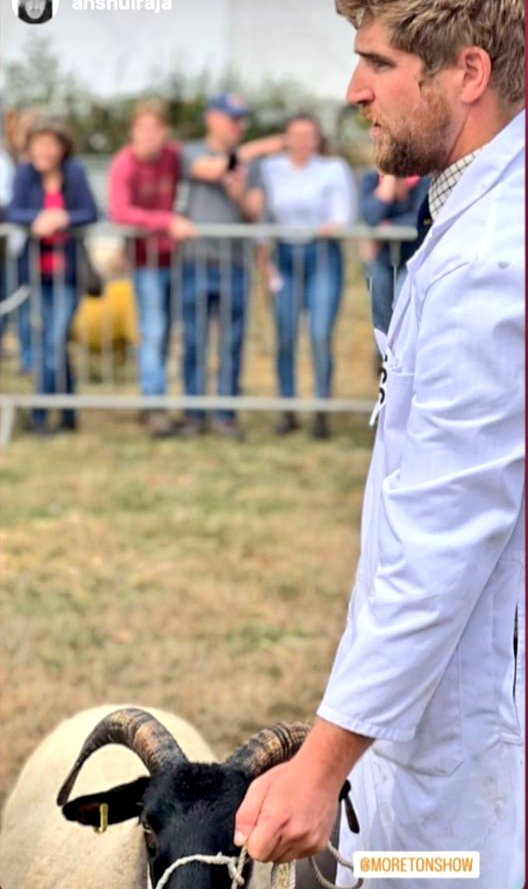 lanhilllamb's tweet photo. Keep your eye on the judge... #sheep #showing #norfolkhorn #rarebreeds #moretonshow https://t.co/aXfayLinUO