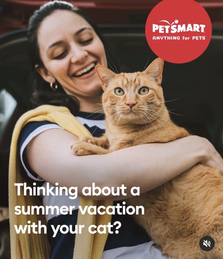 Peggy O'Brien tweet media