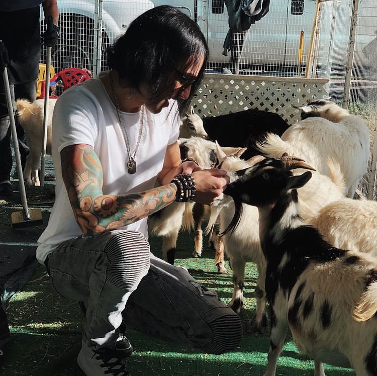 Daily CC (@daiiycc) on Twitter photo 