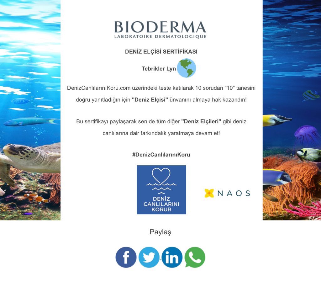 Lyn_a1000's tweet photo. I finally did it 😍Had to read the Bioderma article and translate everything. It was very informative! Now I know more about this ecological problem🥺🌊🐋
@aycaaysinturan 🤗💚💙🌊🌊🌊
#seaambassador
@BiodermaTurkiye
#AyçaAyşinTuran https://t.co/eRzV5zviyP