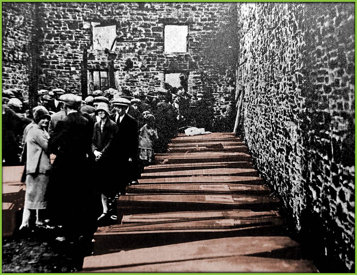 Limerick Museum tweet media