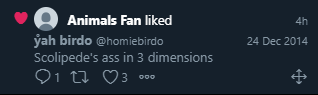ẙah birdo (@homiebirdo) on Twitter photo 