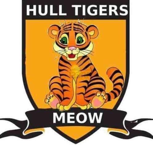 Been to hell I mean Hull and got back without a single scratch #utb #sufc
