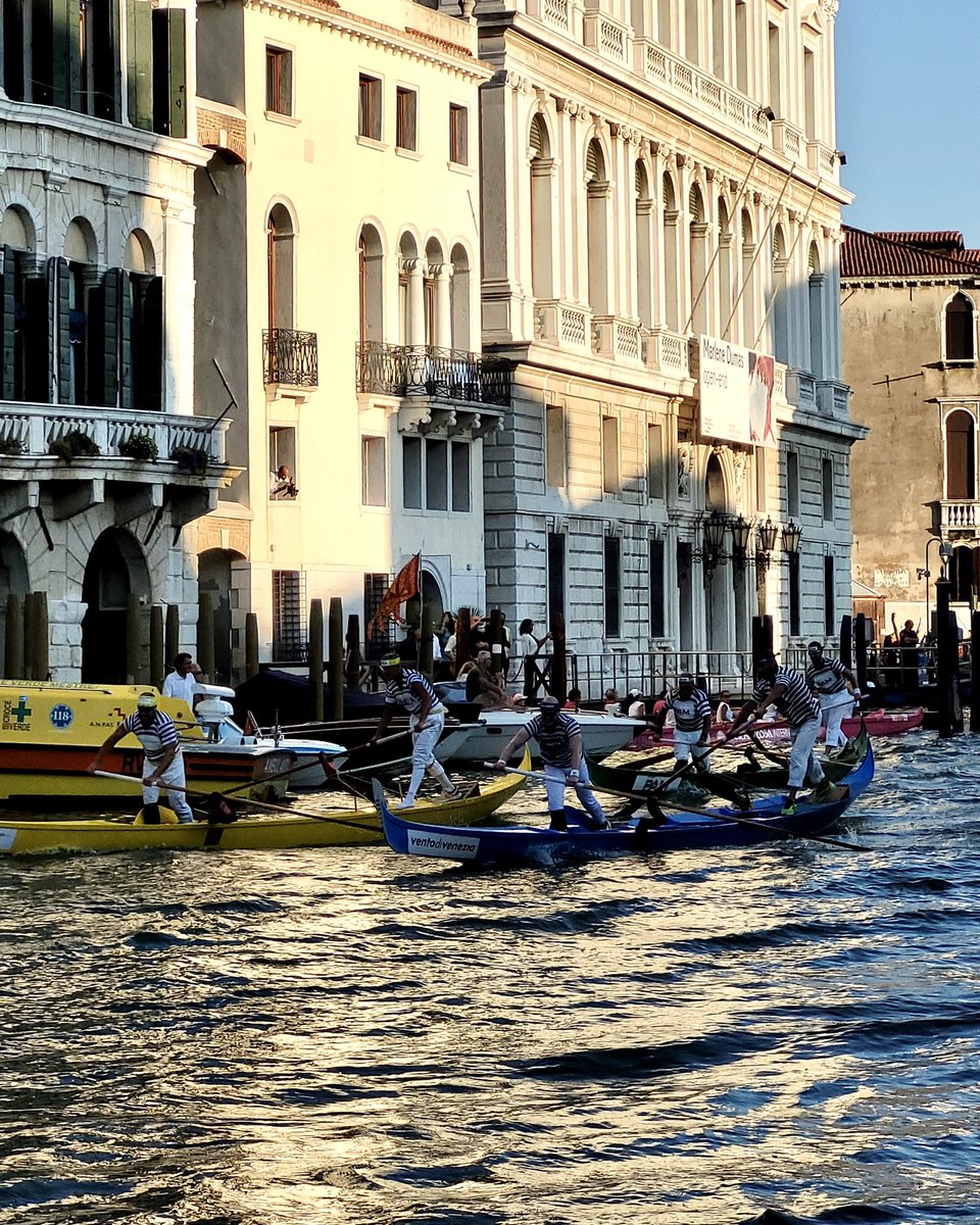 Complimenti Alessandro e Pietro, sul gondolino celeste!

#VeneziaCertosaMarina partecipa alla #RegataStorica2022 al fianco di un eccellente artigiano e di un esperto gondoliere nel più importante evento tradizionale veneziano 🛶