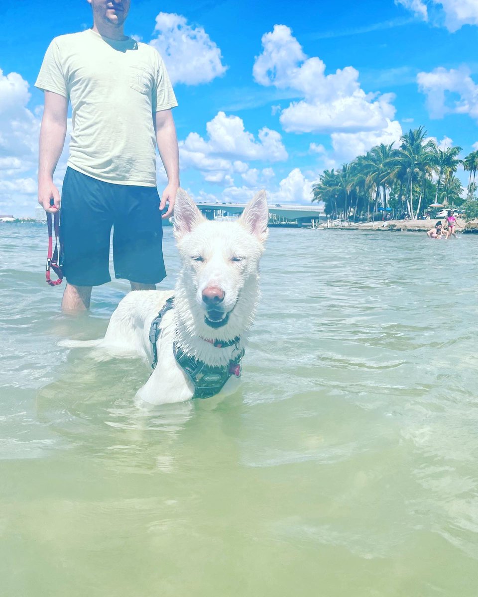 _cribabi's tweet photo. Jynnie’s first time in the ocean 🌊😍 https://t.co/1CT25jSlc4