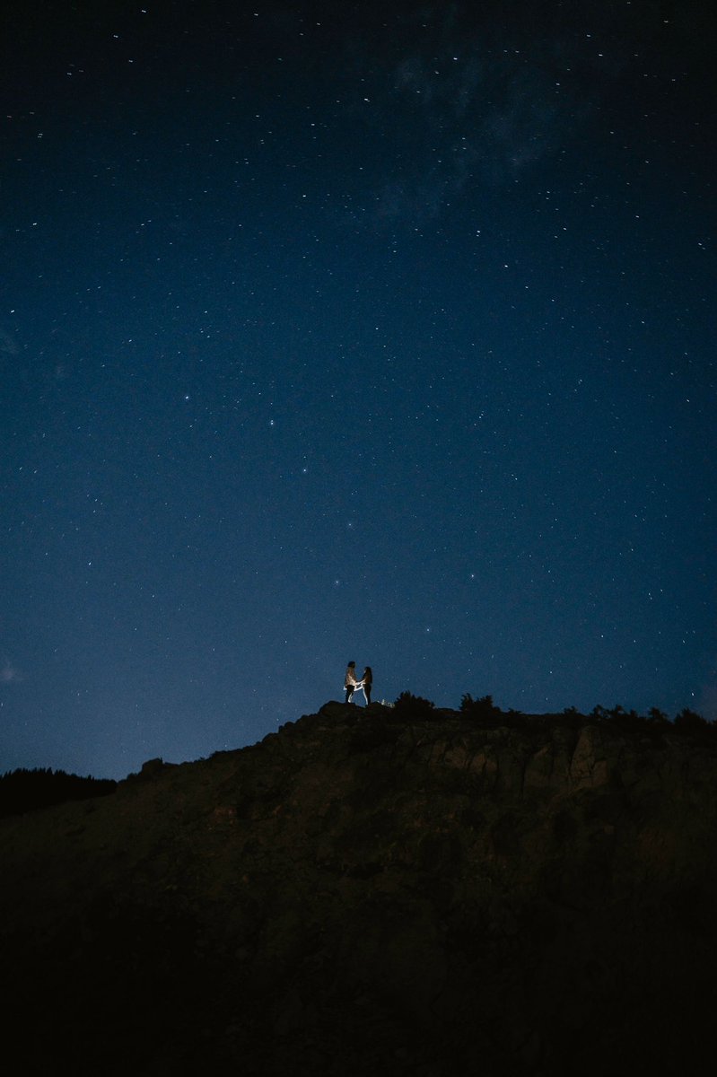 tailorraye_'s tweet photo. The Big Dipper made an appearance in our engagement pictures ✨ https://t.co/Ehju6IdjlX