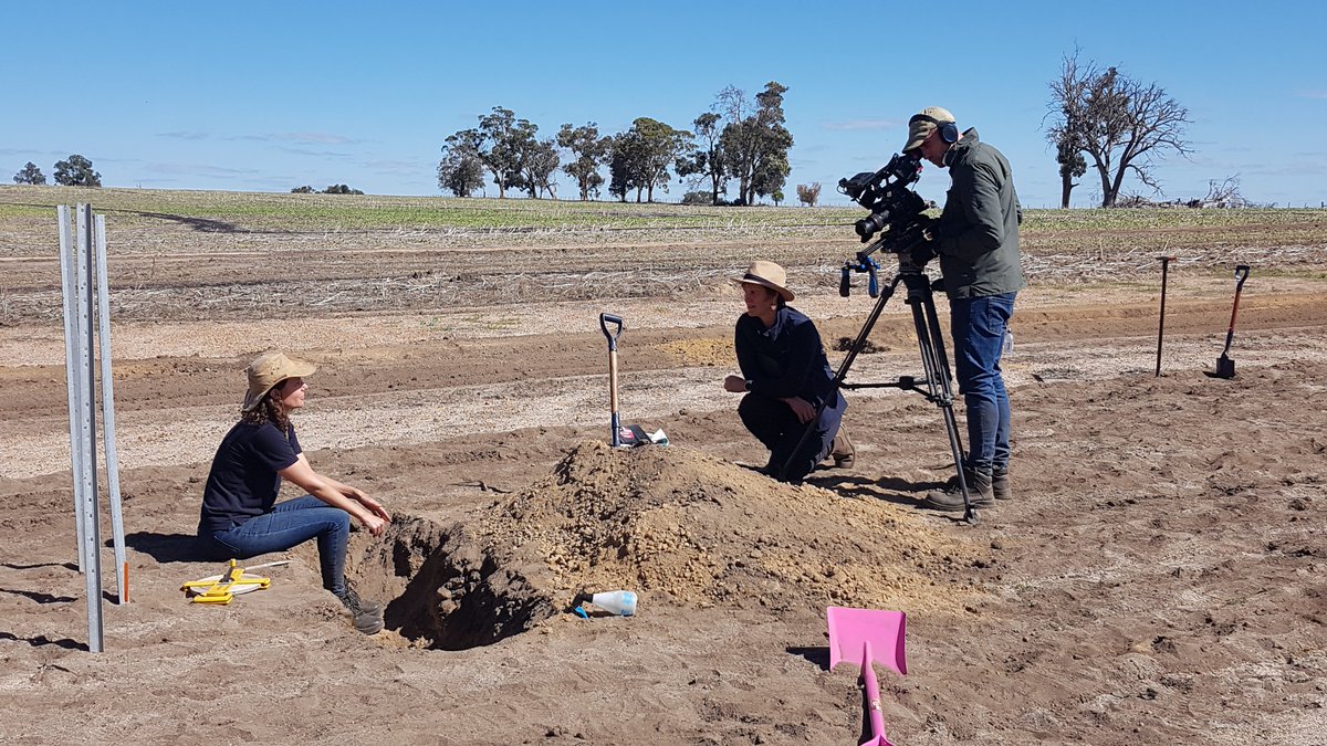 DPIRDbroadacre's tweet photo. Mouldboard plough 🤔 Great for annual ryegrass control, not so good for great brome control. Learn more about weeds and soil amelioration at our Williams Field Day on Sept 14 @GRDCWest https://t.co/jXKkW6bWkW https://t.co/lrn7WrUjTn