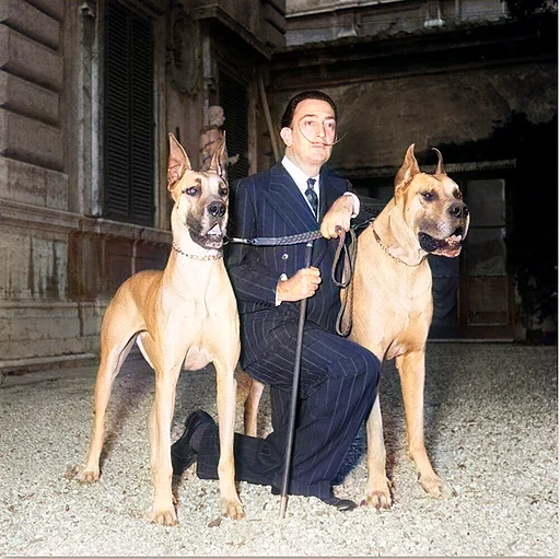Rome, 10 May 1954. Salvador Dalì in Rome for his personal exhibition at Palazzo Pallavicini Rospigliosi. In the photo the artist Salvador Dalì with his dogs outside the palace. Colorize version