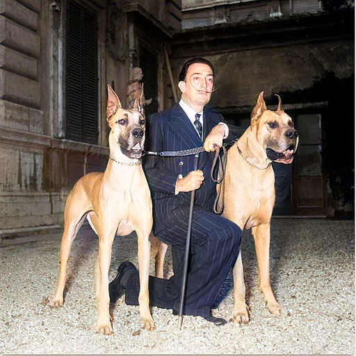 Rome, 10 May 1954. Salvador Dalì in Rome for his personal exhibition at Palazzo Pallavicini Rospigliosi. In the photo the artist Salvador Dalì with his dogs outside the palace. Colorize version