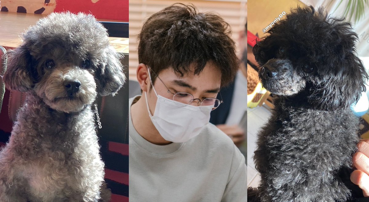 먹물, 후추 그리고 

도경수