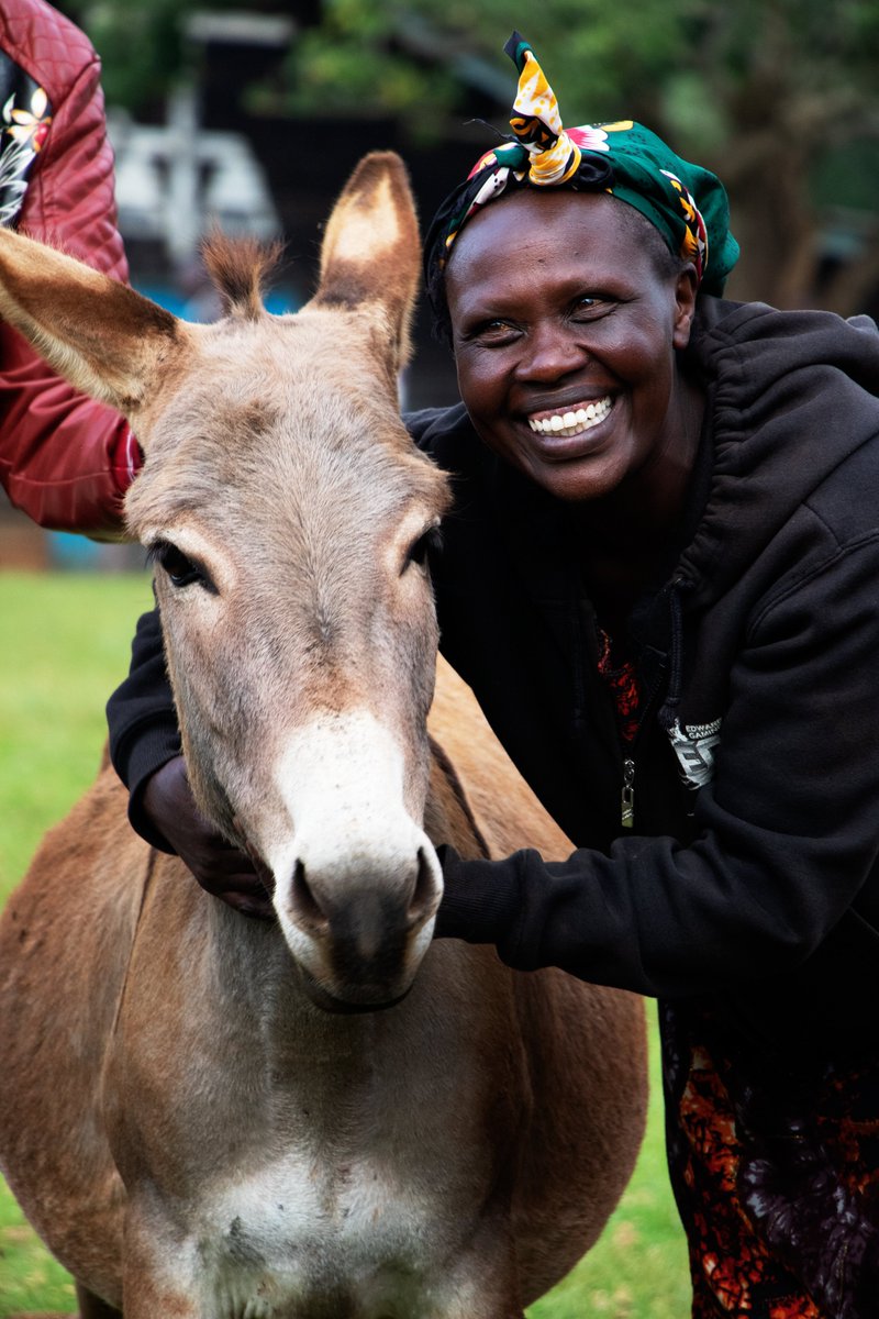 “Until one has loved an animal a part of one's soul remains unawakened,”

― Anatole France

#MondayQuotes #MondayMotivation #EquinesMatter #MtunzePundaDaima <a href="/TheBrooke/">Brooke 🐴🧡</a>