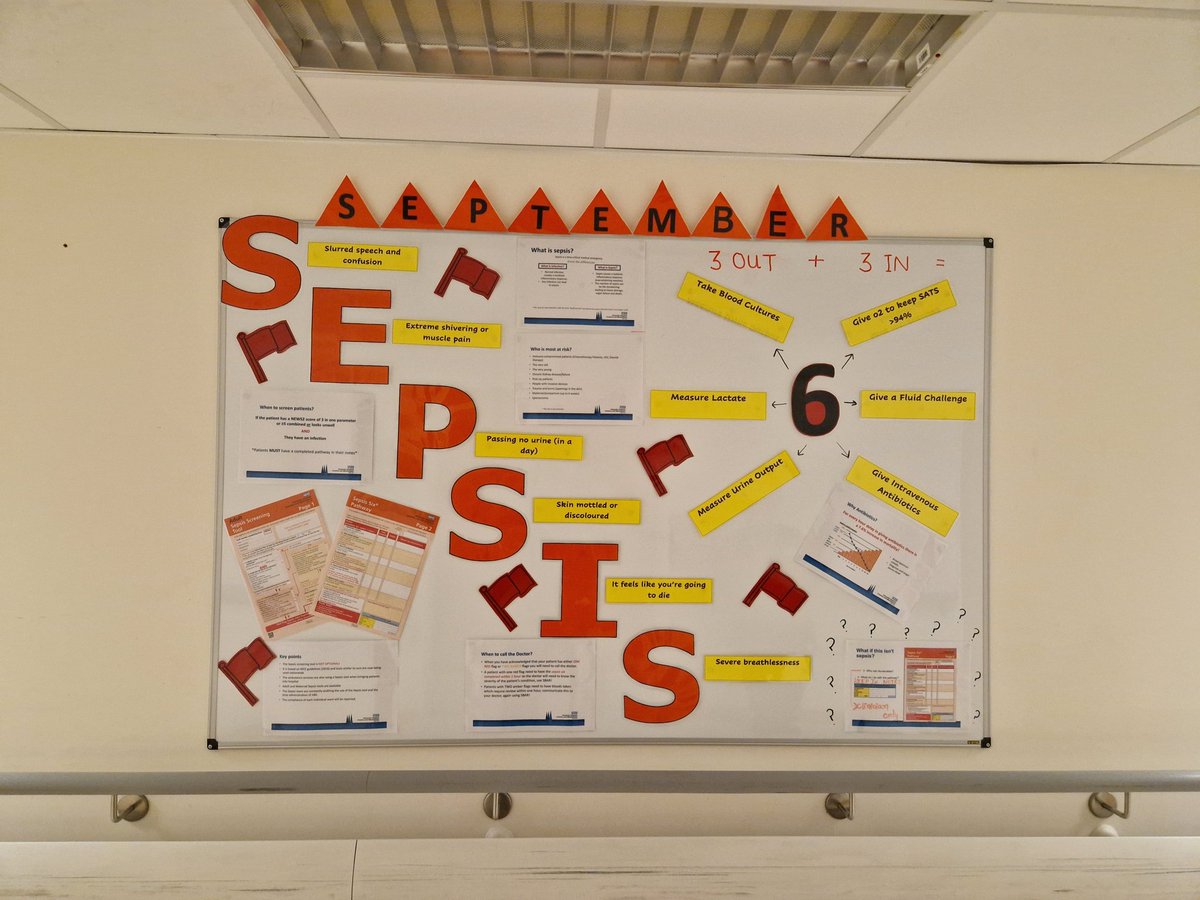 stacelking's tweet photo. @uhcw_inf_con @liz_dean2020  @ratheram_roxy @Ramanpr98037576 @MarieFogarty7 one sunday night shift in september...🚩#sepsisseptember #acutemedicine https://t.co/qKImfjnfGy