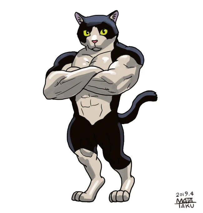 猫。白黒。ハチワレ。#動物レスラー 