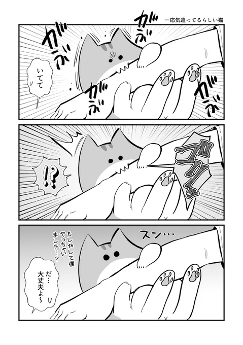 気遣い #秀さんの今日の猫日記 
