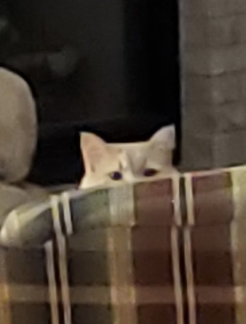 Kaveinga (@itsmirawj) on Twitter photo 