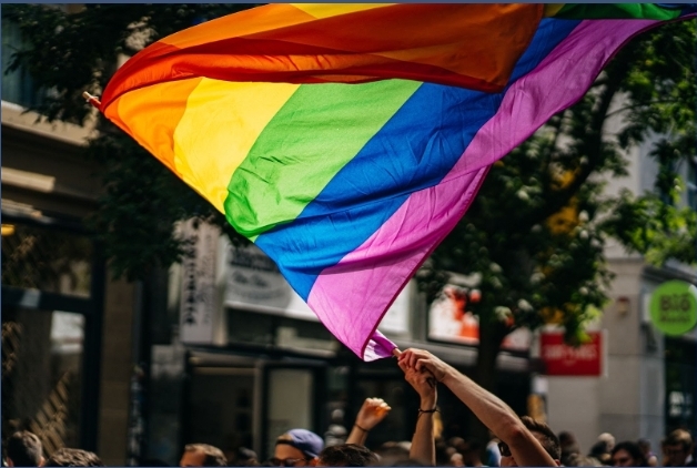 ZonaFrancaMX's tweet photo. #SOCIEDAD🏳‍🌈| Guanajuato desprecia herramientas de salud y seguridad para diversidad sexual; otras entidades las buscan
https://t.co/NgQ5BhkIB0 https://t.co/6h0Tq9fo1S