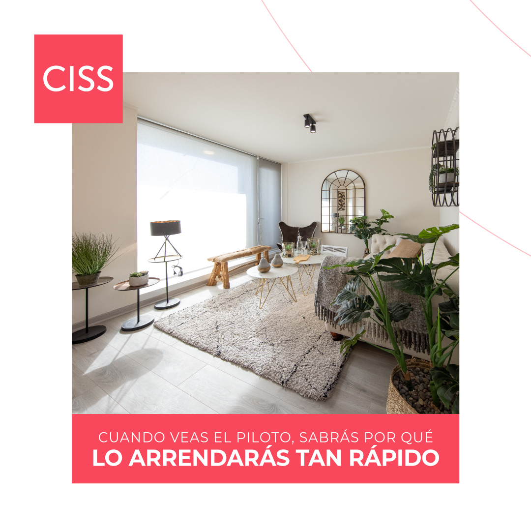 viveCISS's tweet photo. Maximiza la rentabilidad de tu inversión en un sector con grandes proyecciones de arriendo en pleno centro de Concepción.

Consulta a nuestros ejecutivos por New Center. https://t.co/yTXqowwaC0