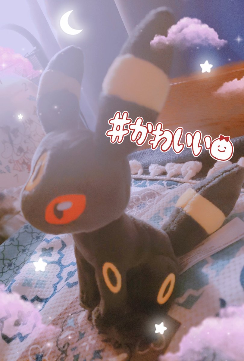 _luft_'s tweet photo. 誕プレで貰ったブラッキーの横顔が美人すぎて尊い😳💕 https://t.co/wkFMPHsVel