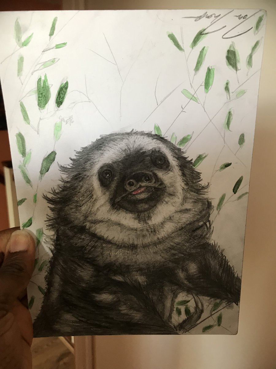 Tosin_Thompson's tweet photo. Thanks @epilepsyaction for letting me take part in @DoodleDay. A few doodles remain (including mine); bidding ends in a few hours!

https://t.co/f2jCaMdIUT 🦥 https://t.co/vgKAoINnnT