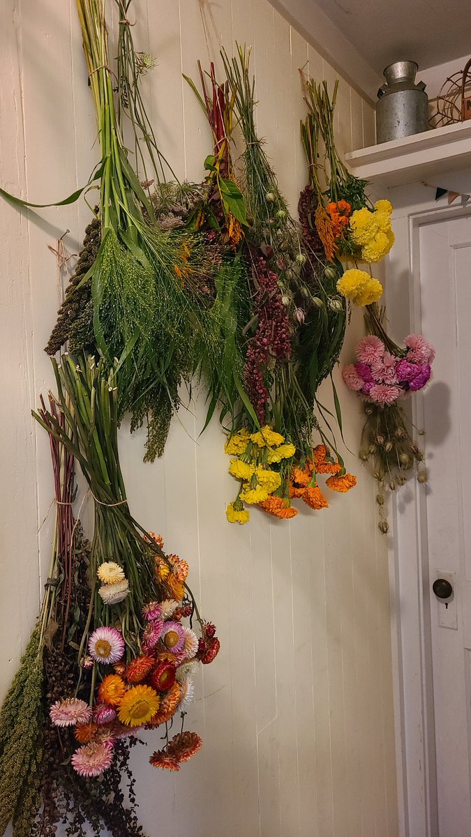 Any #flowers that don't get used go on the wall 💐 #flowercrafts #driedflowers #flowerfarm