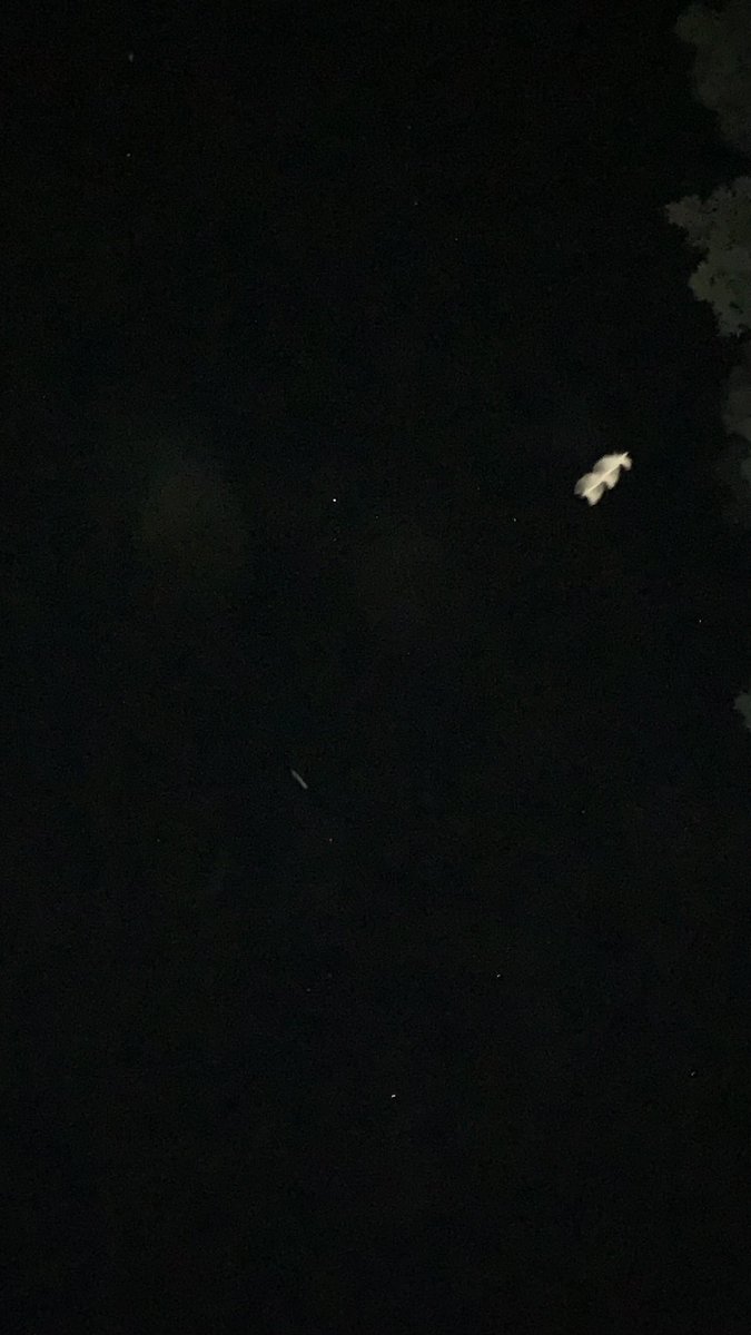LacyYork13's tweet photo. Can anyone help me identify what is on the Right Side of this Pic? I was Out taking Pics of The Stars and Things As Usual. Zoom in and check it out! https://t.co/dAzkjjlUZc