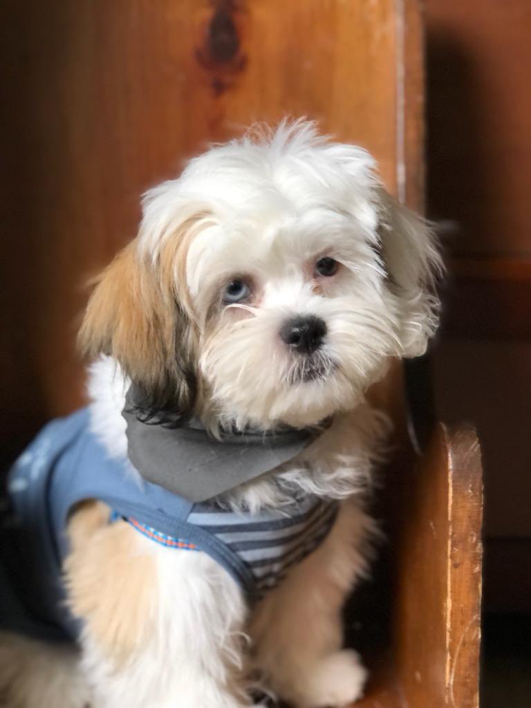 arianna salinas tweet media