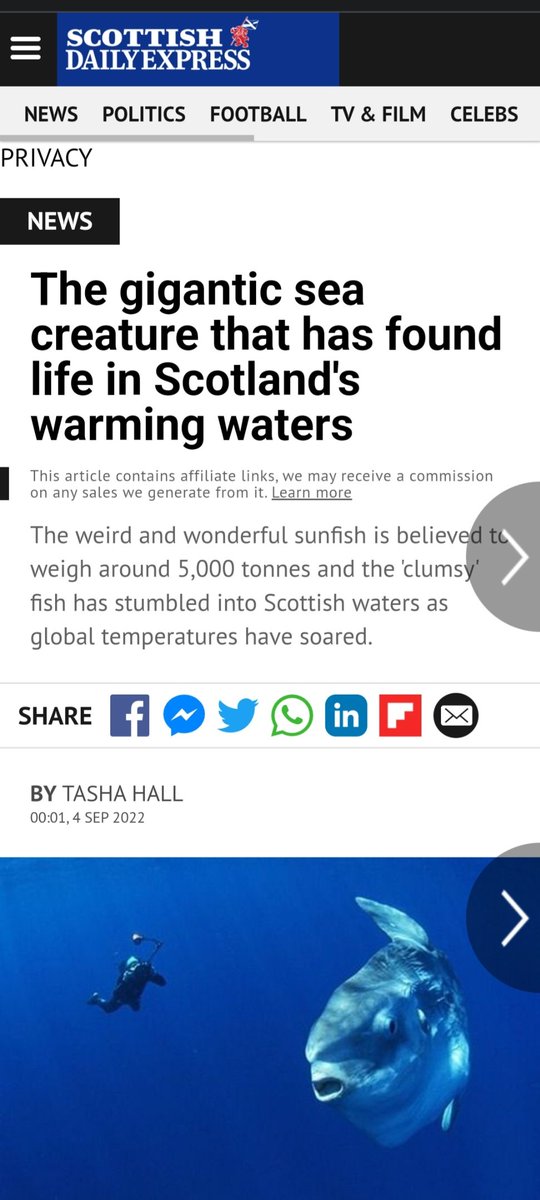 Diorbhail's tweet photo. @ScotExpress 5000 tonnes, is that right aye?

@MairiFenton thoughts of a marine biologist on this absolute sea monster? https://t.co/kyTrtvJmsI