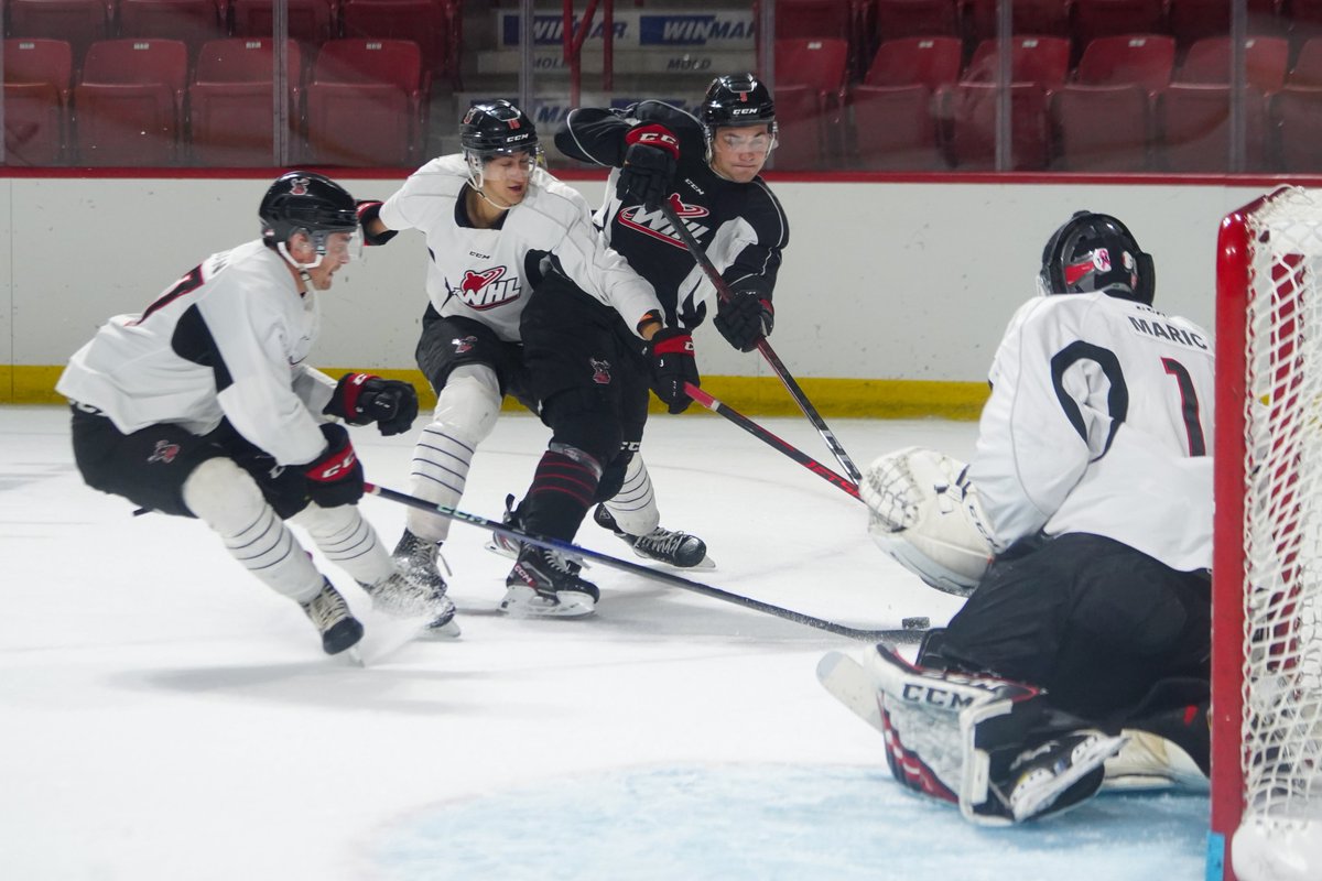 Moose Jaw Warriors tweet media