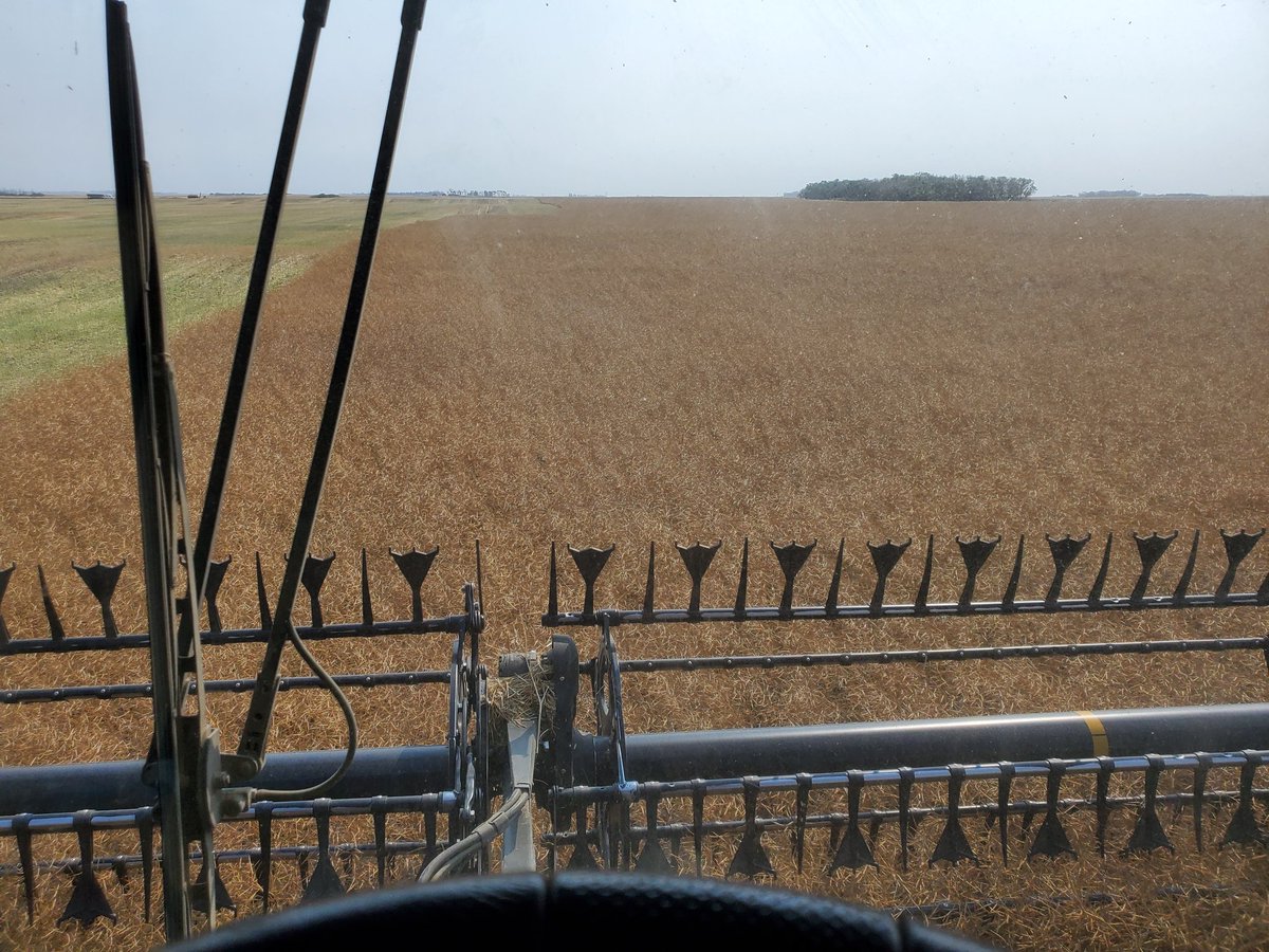 Changing careers at 35 to take over the family business has been challenging but once that grain is in the bin it's all worth it #harvest22