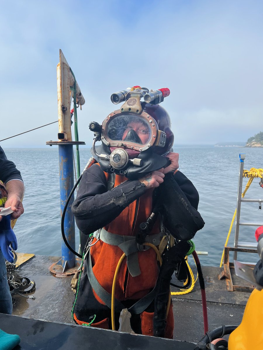 USCGNorthwest's tweet photo. #Update #AleutianIsle Dive crews completed clearance of entanglement hazards, cutting away all free-floating net from the vessel &amp; securing all remaining net &amp; entanglements to vessel. Divers started rigging ops. Once completed, next phase will be raising the vessel. https://t.co/FsNbZmvVQG