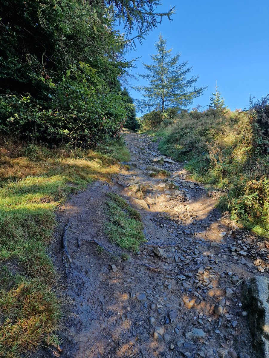 Nice trek up the Hellfire Club this morning #dublin #hiking #offtrack #SundayMorning