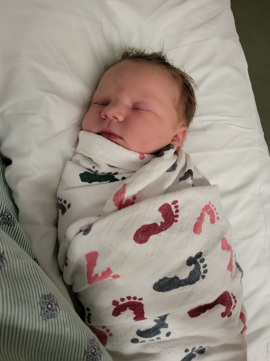 Tim Clagg 💡🎥🎬 tweet media