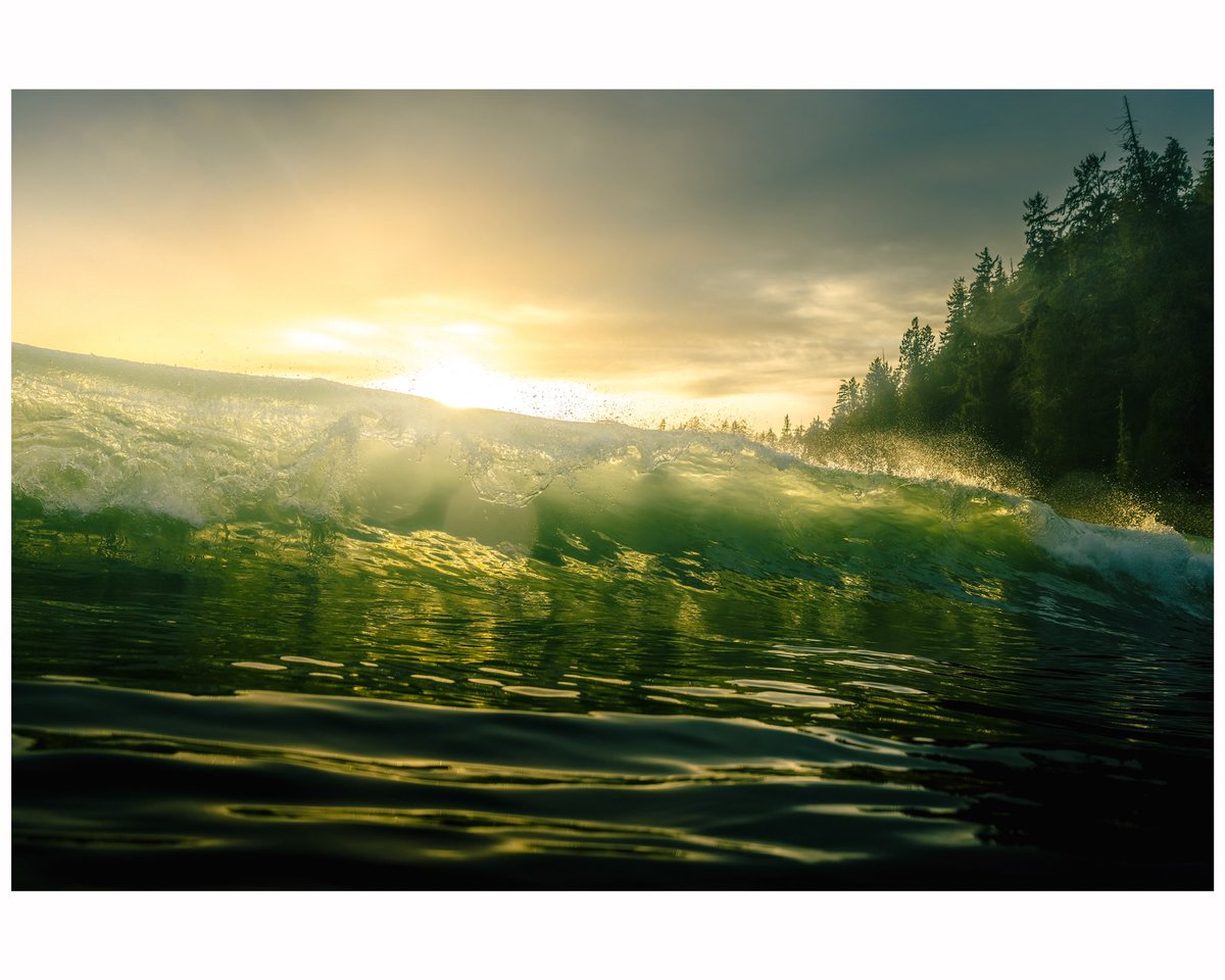 The sunsets over a remote Vancouver Island beach.  

#vancouverisland #sunset #wave #surf #taylorhawkinstribute