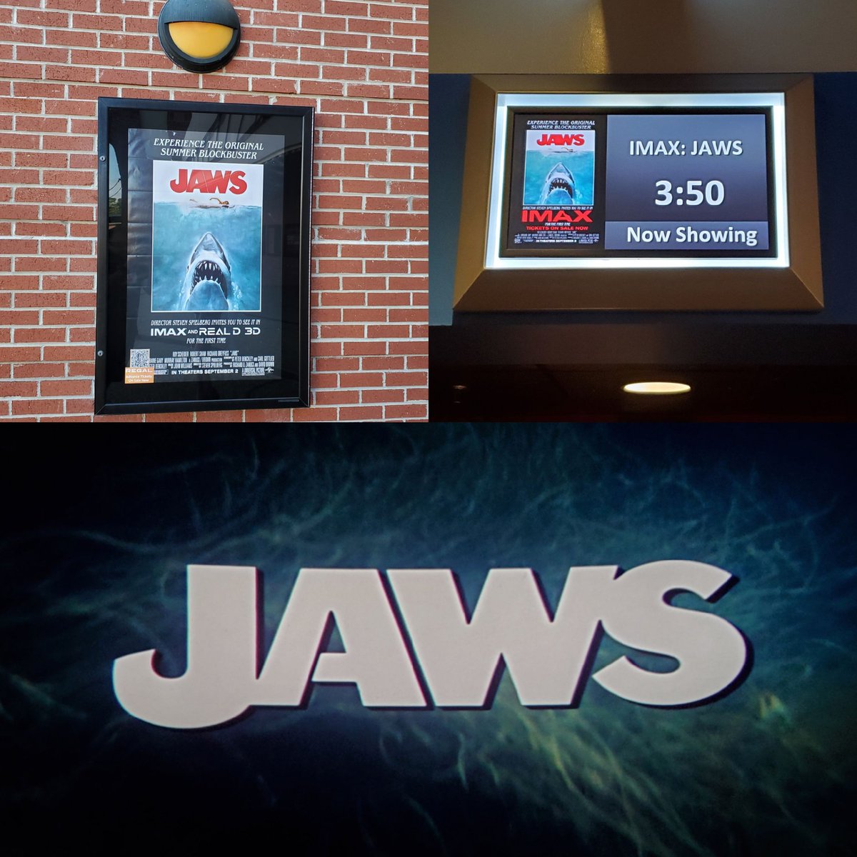 DeadNoiseMedia's tweet photo. I love Jaws more and more with each time I watch it, and seeing it in IMAX truly was something else
Second time seeing Jaws on the big screen, first time was for its 40th Anniversary
Never saw any film in IMAX before this, and I feel like I chose the right one
#Jaws #JawsIMAX https://t.co/LrYf4hYtf9