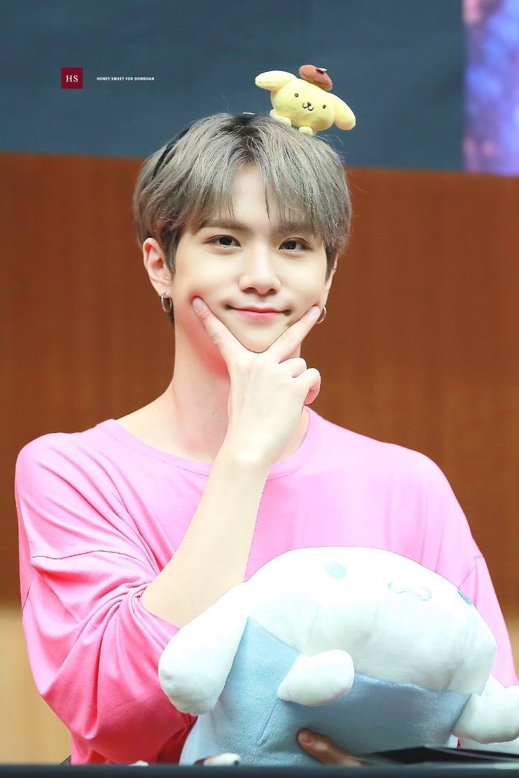 🐶 (@dhanfiles) on Twitter photo 